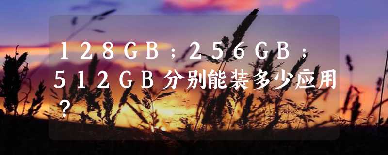 128GB;256GB;512GB分别能装多少应用？
