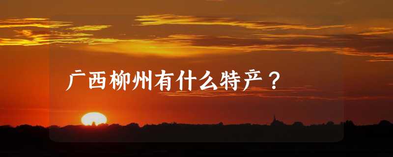 广西柳州有什么特产？